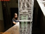 «Одноместный» лифт, 0.5 м/с, односкоростной. (кликните для увеличения)